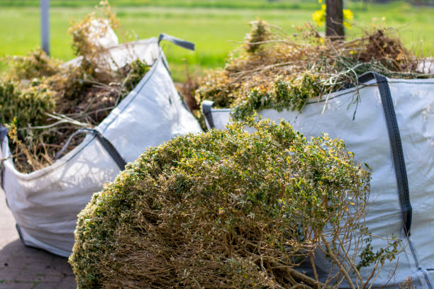 Best Electronics Removal Services  in Star Valley, AZ